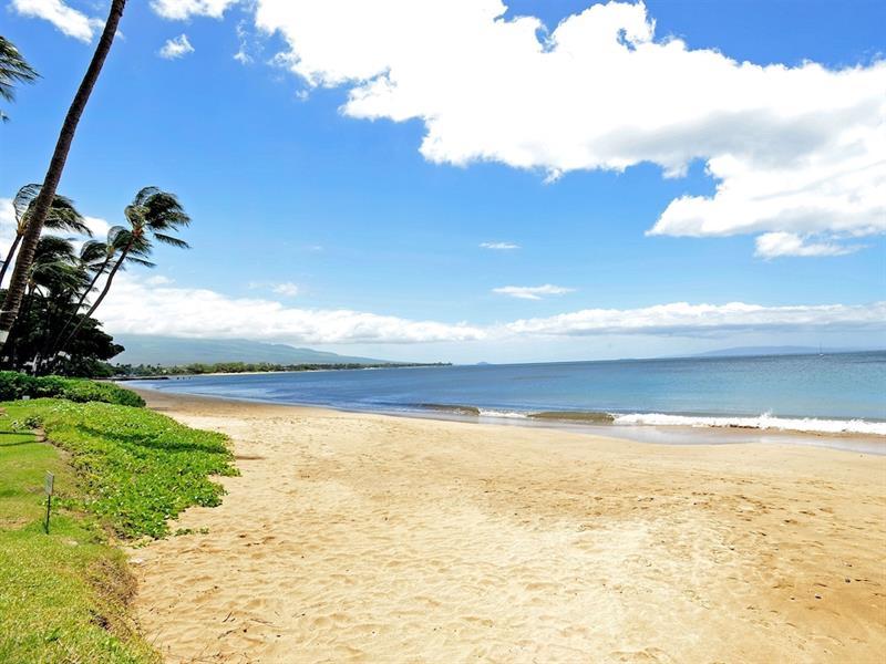 Nani Kai Hale 303 By Vacation Rental Pros Vr Kihei Dış mekan fotoğraf